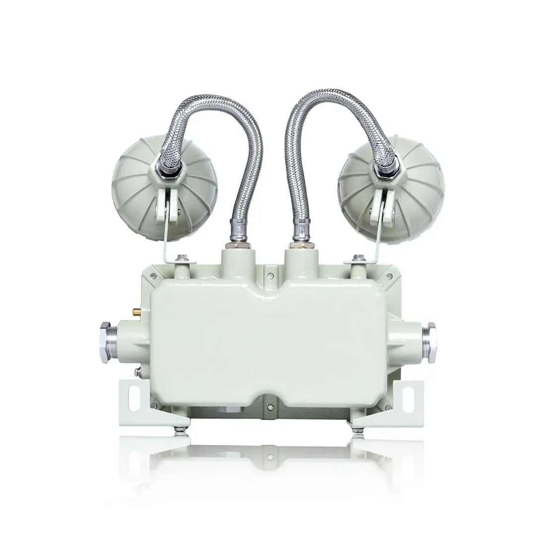 Explosion Proof Emergency Light | SharpEagle